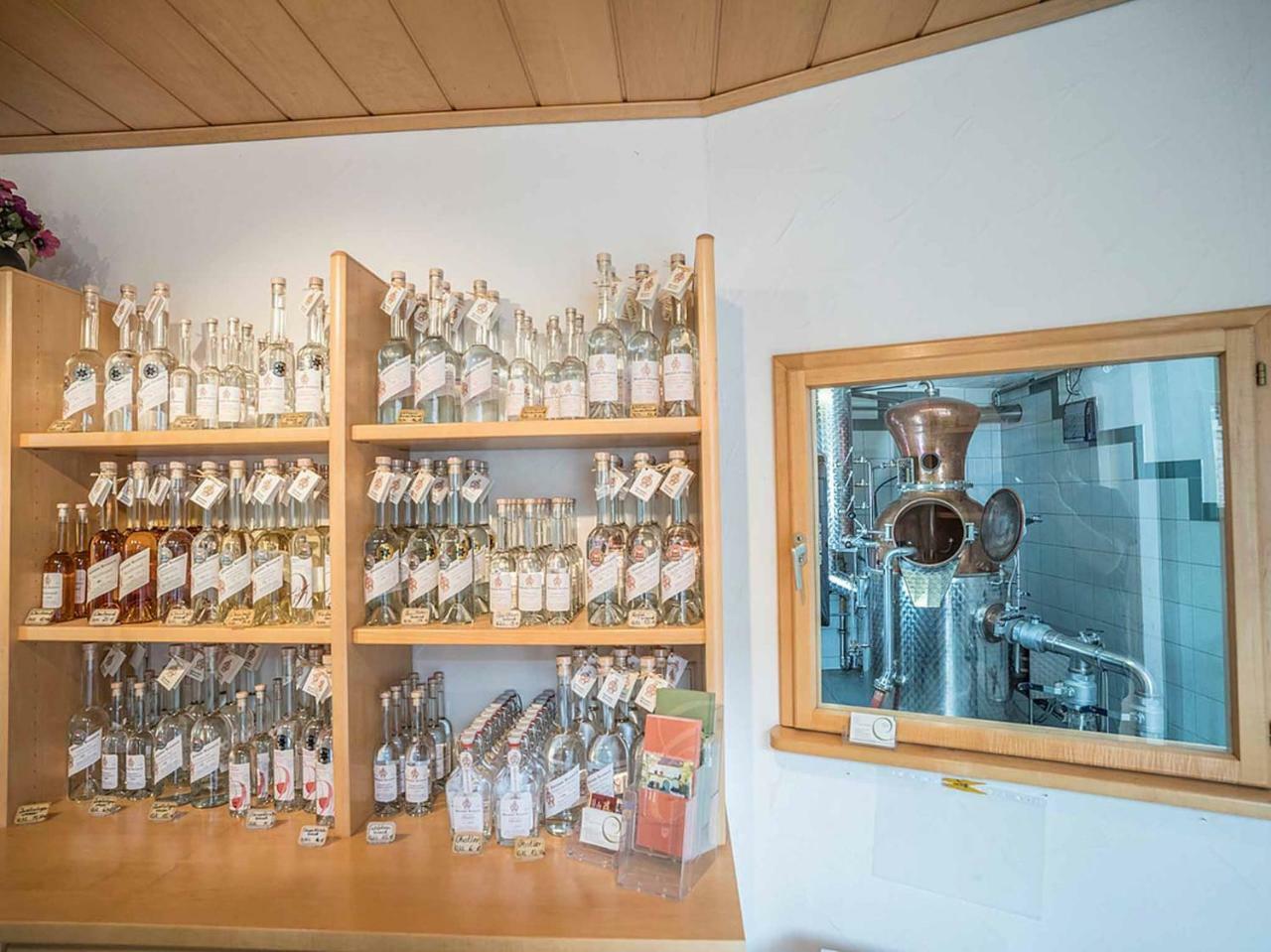 Gaestehaus Moenchshof Sommerhausen Ngoại thất bức ảnh
